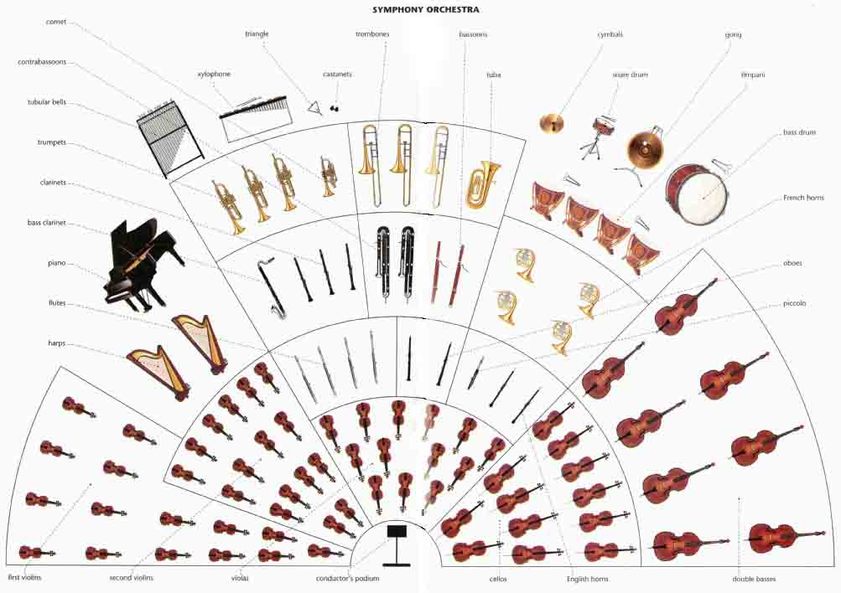 Lesson 3 Instruments of the Orchestra